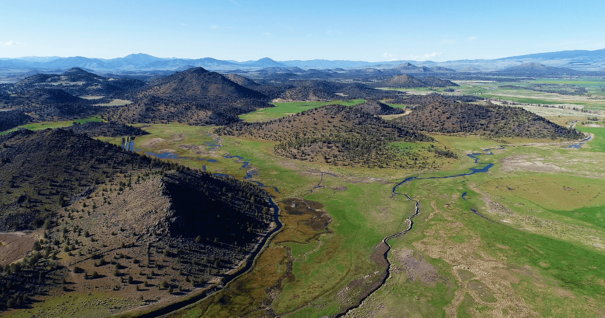 shasta river