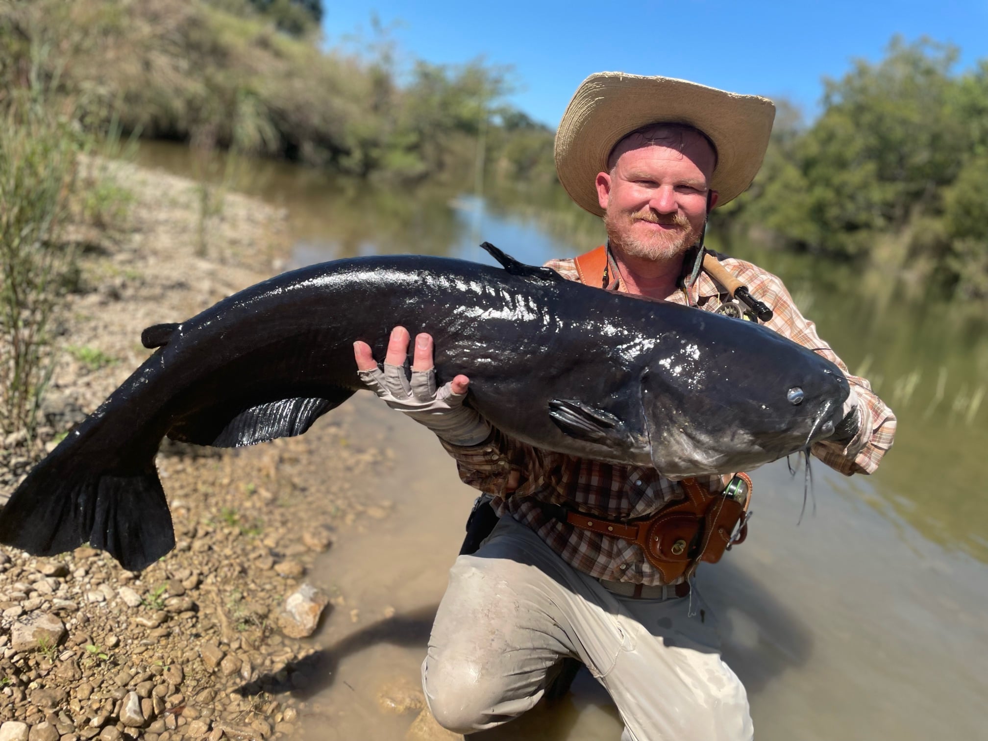 world record catfish