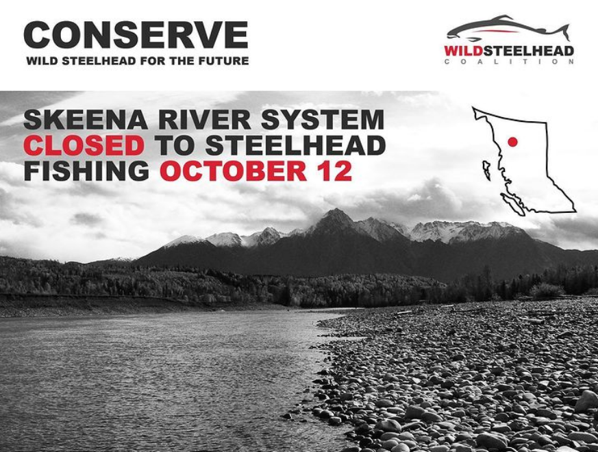 skeena