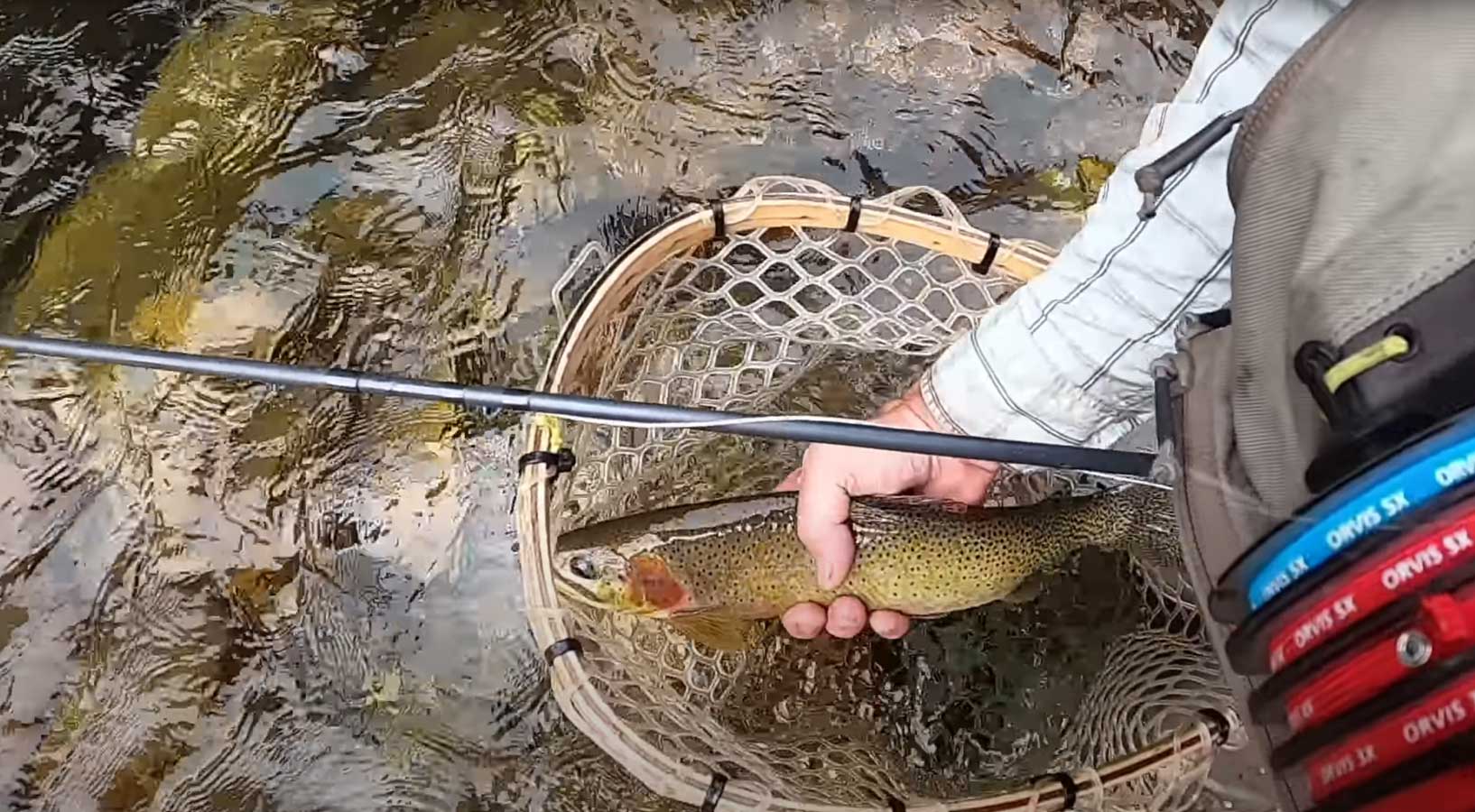 Why Do Locals Say This is the Best Fly Fishing Stream in Idaho? I'll Show  You!