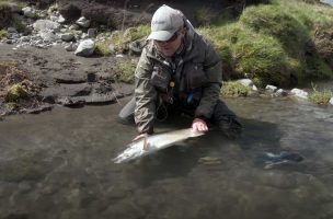 “Early Season Big Trout” (New Zealand)