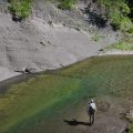 "Rocky Mountain Trout Stream - Rainbow & Cutthroat Trout on Dry Flies & Nymphs"