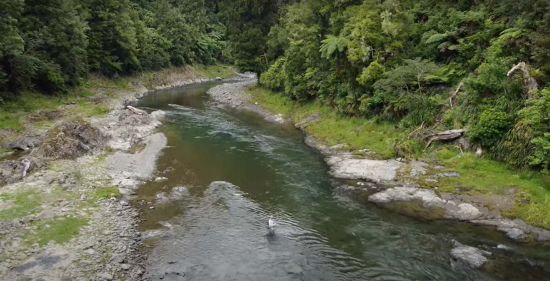 "One of My Best Days Fly Fishing for Trout Ever" MidCurrent