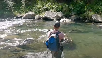 "Fly Fishing a Crystal Clear Small Stream + How to Approach the Water"