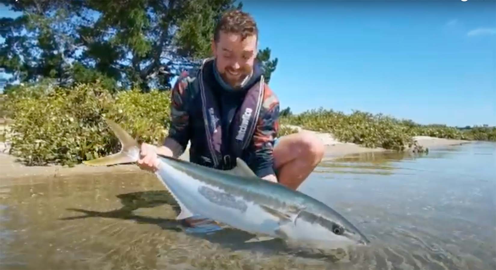 Incredible Saltwater Fly Fishing New Zealand Midcurrent
