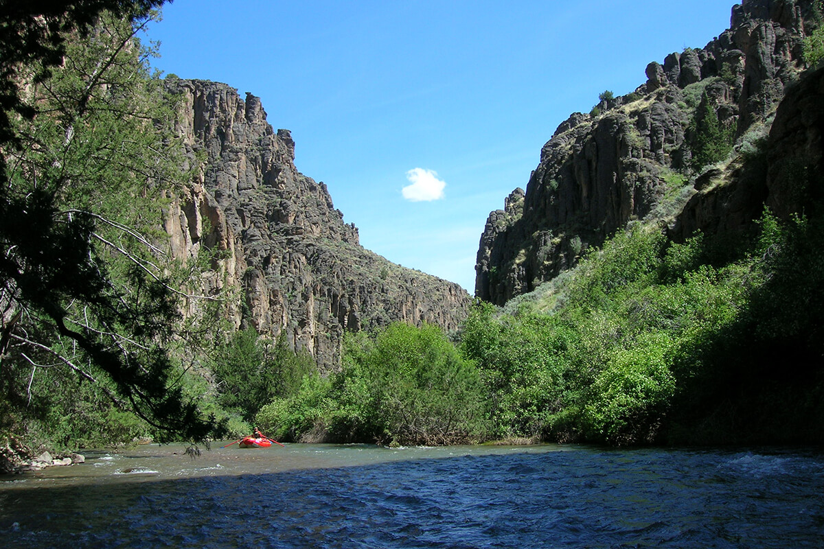 jarbidge river