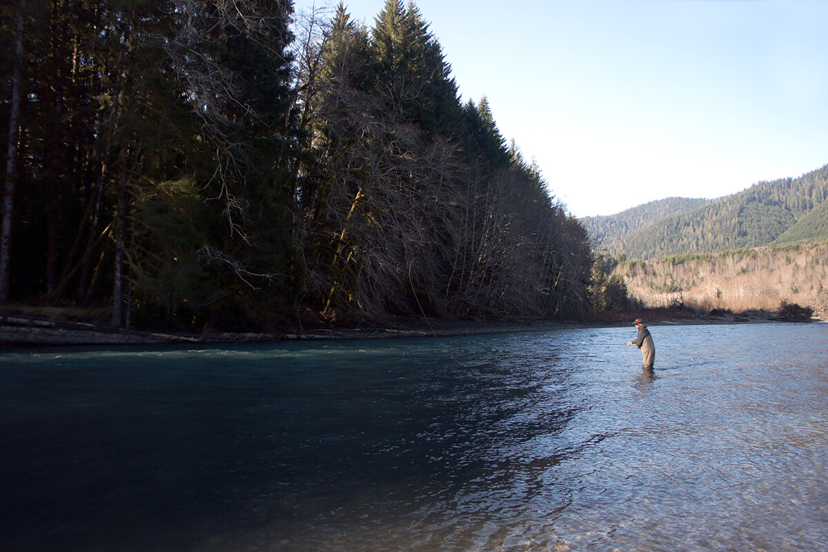 steelhead study