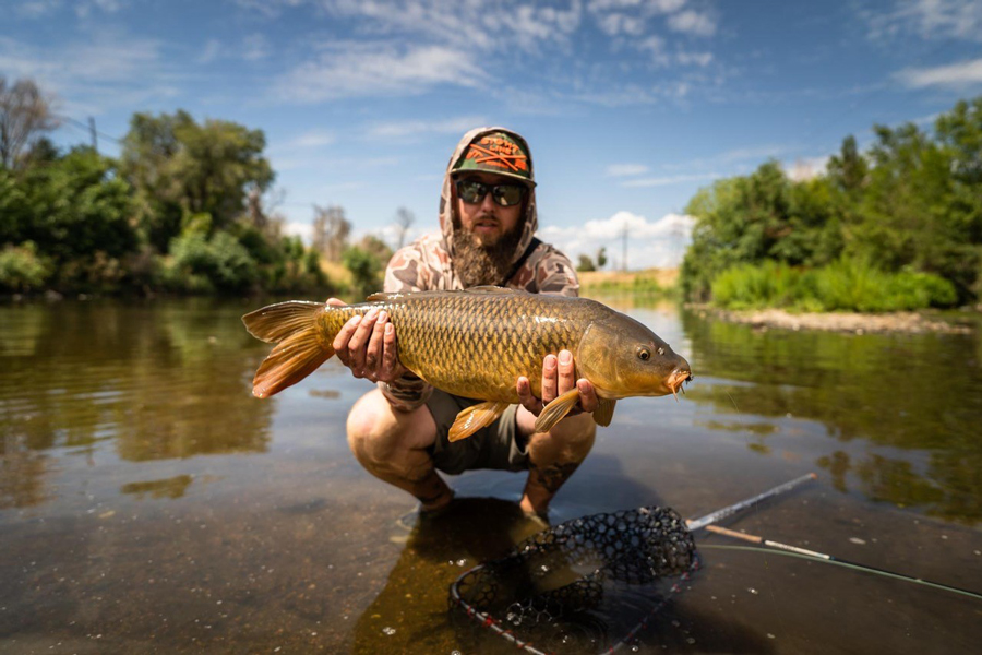 carp in moving water