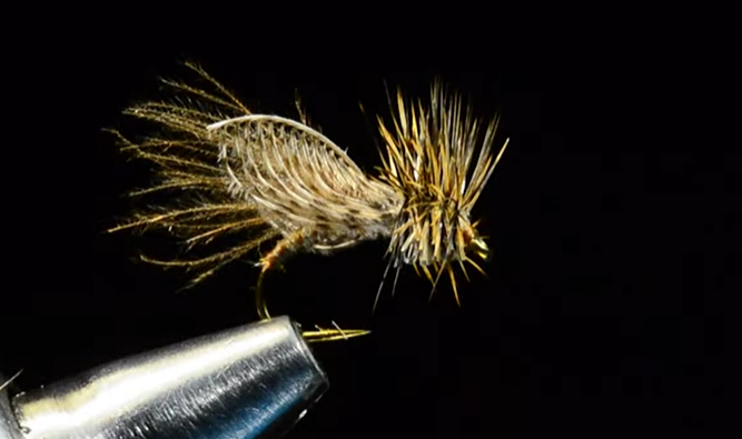 Tying Tuesday: Gerbec's Resting Caddis | MidCurrent