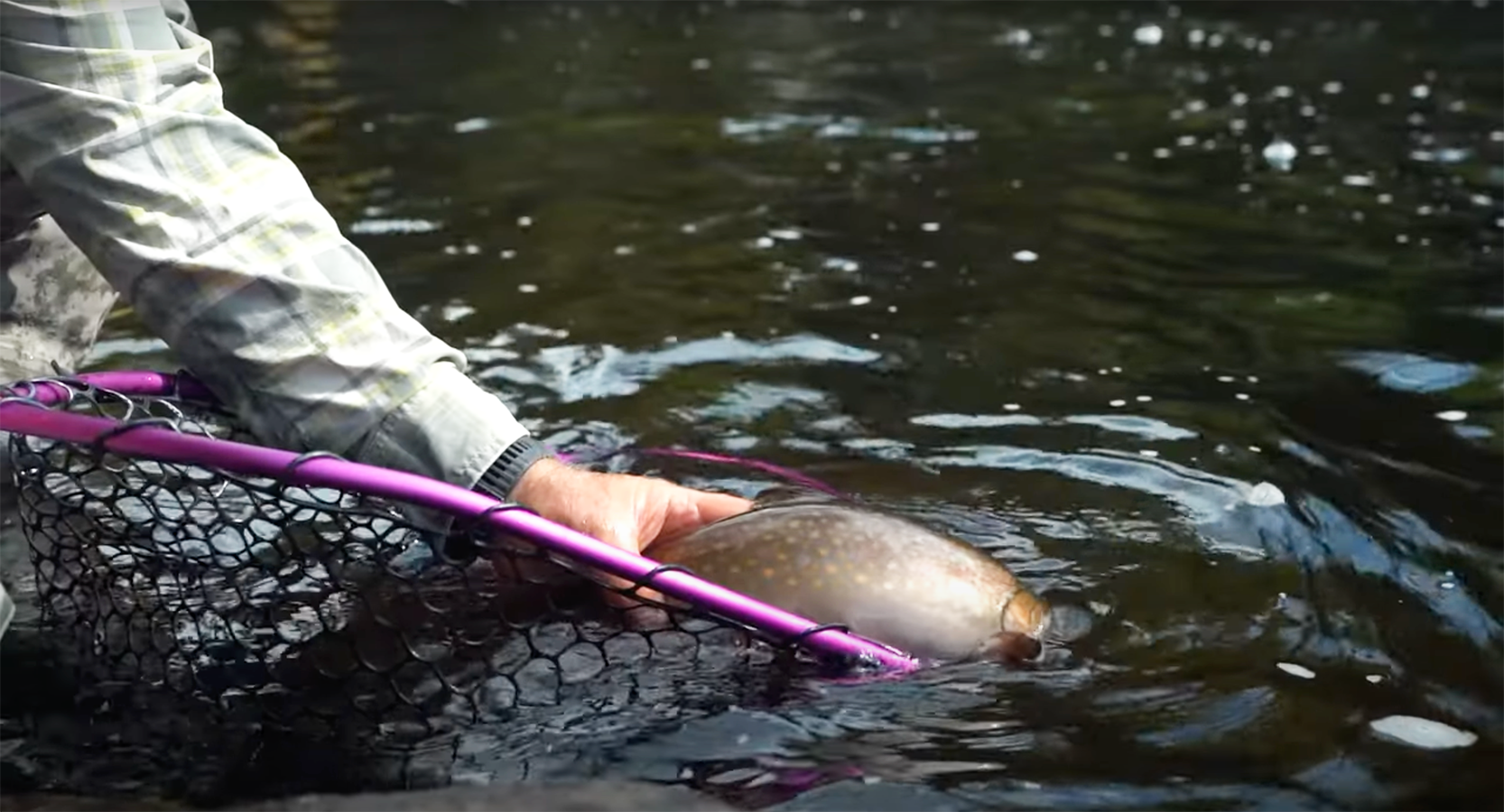 "Temagami: A Day Fly Fishing For Brook Trout On The Lady Evelyn River ...