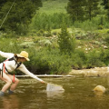 "Almost Home | Fly Fishing, Truck Camping, and Exploring Wild Colorado"