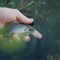 "A Day Trip in Harlem | Fly Fishing New York's Central Park"