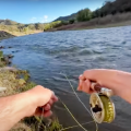 "How to Find Where They Hide - Targeting Trout in Rivers"