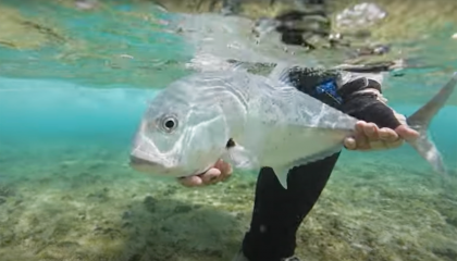 "Exploring New Reef For Fishing Giant Trevally (Maldives On The Fly Episode 3)"