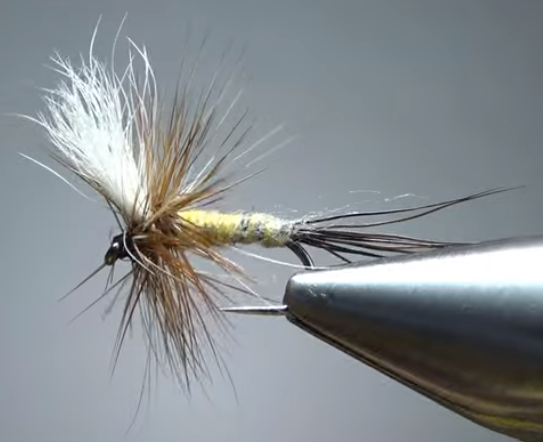 Tying Tuesday: Smoky Mountain Candy | MidCurrent