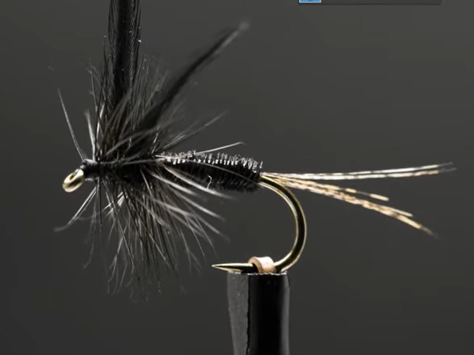 Tying Tuesday: Black Gnat Dry Fly