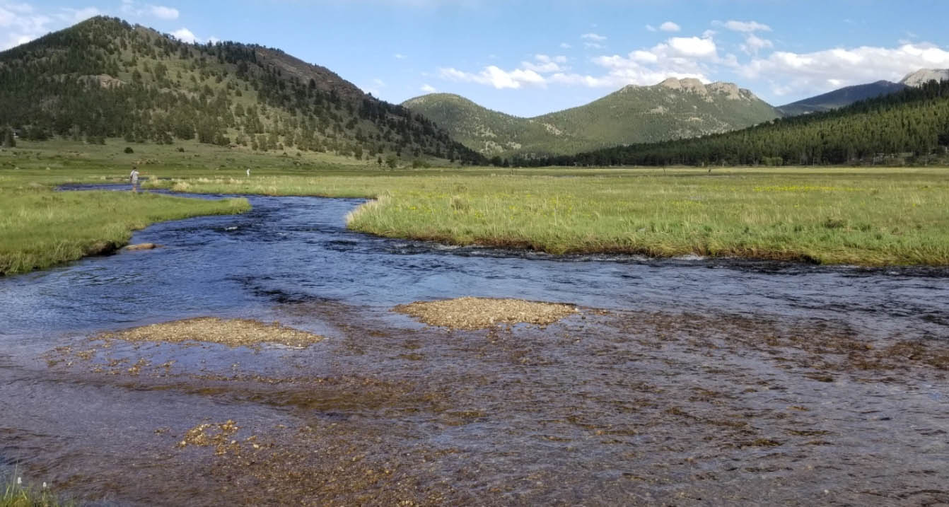 rmnp