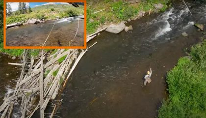 "How to Fly Fish Small Streams"