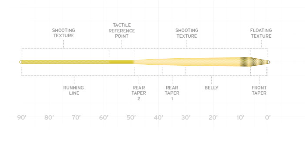 fly line taper diagram