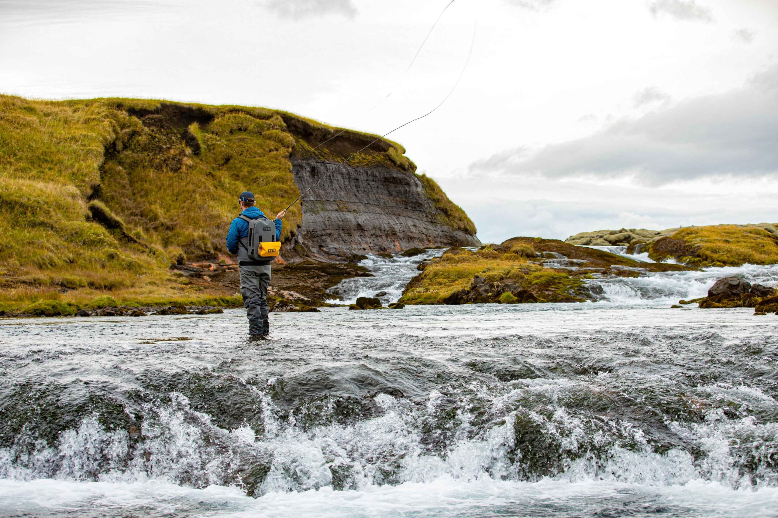 sea trout