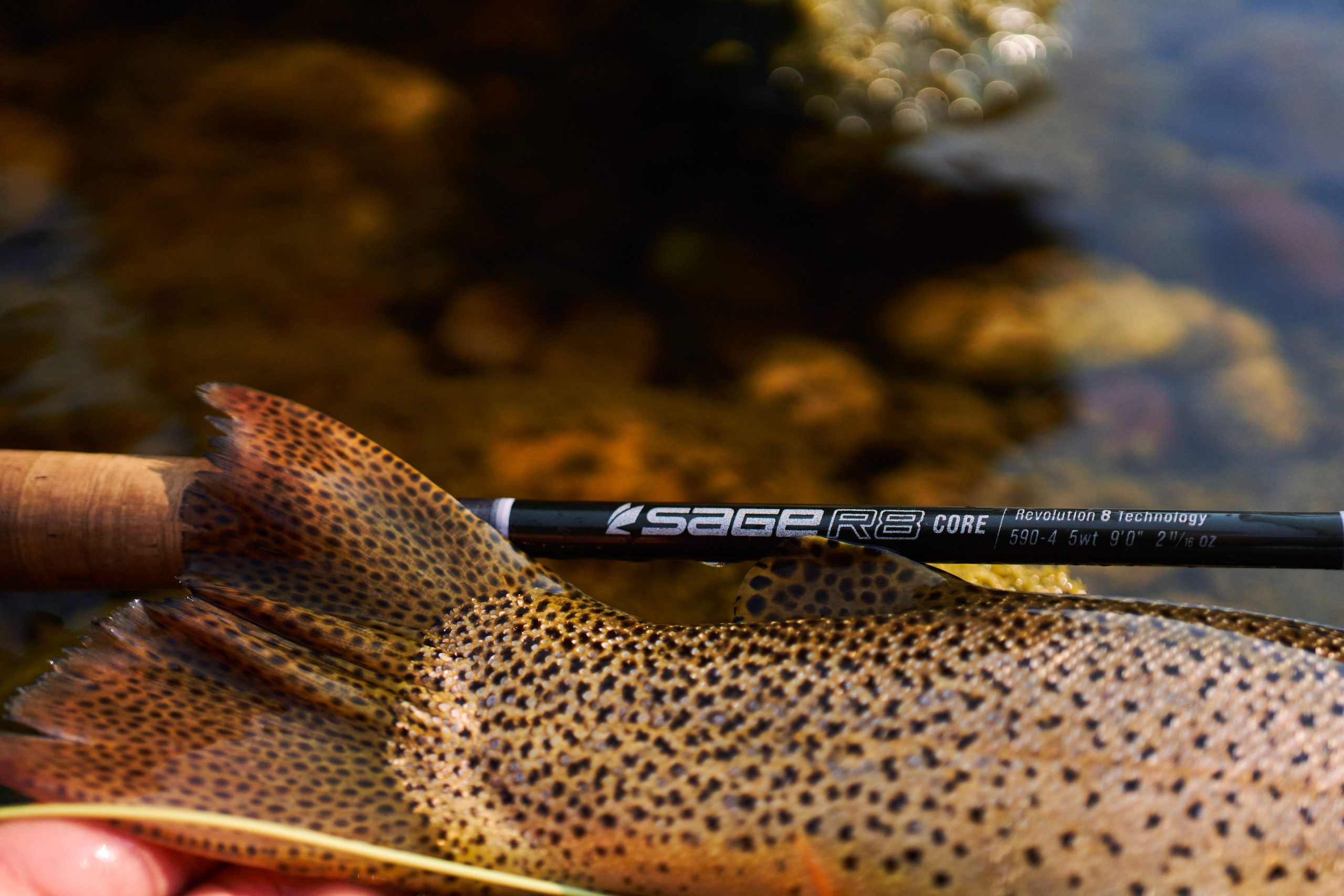 The Best Hunting Gear and Fishing Gear of 2022