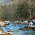 3 Tips for Winter Trout