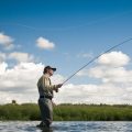 What Rod Action Is Best for You?