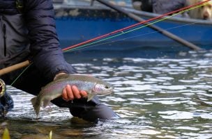 Washington’s Heavy-Water Rainbows