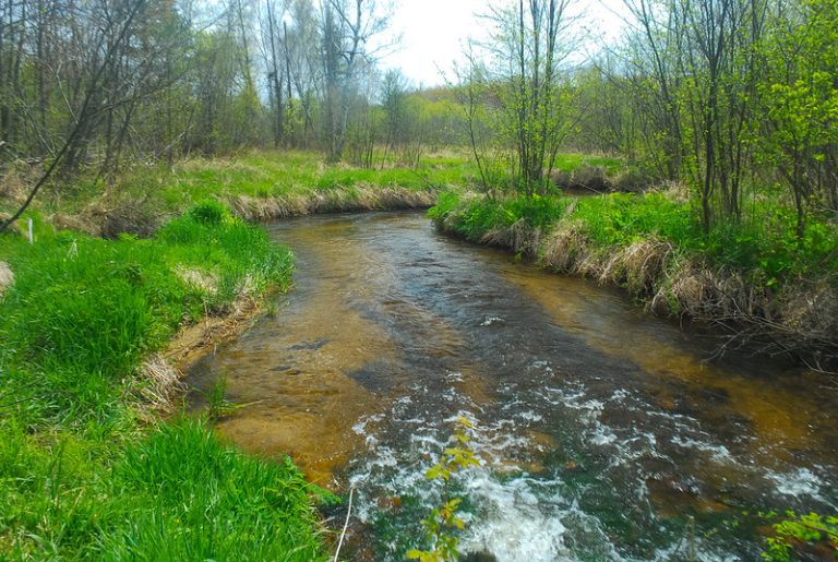 Pro Tips For Spring Creeks Midcurrent