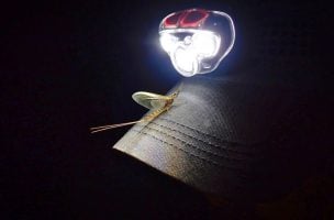 Nocturnal Missions: How To Catch Big Trout at Night