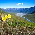 Oil Leases Canceled in ANWR