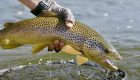 "Montana: An Ultimate Fly Fishing Experience"