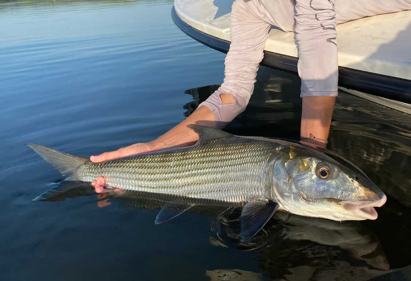 Bonefishing in the Bahamas, Abaco Island Bahamas