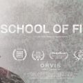 New Film: School of Fish