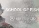 New Film: School of Fish
