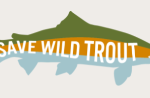 Save Wild Trout Announces Advisory Board