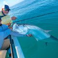 How to Become an Expert Saltwater Fly Angler