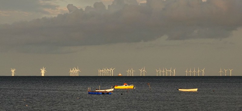 Scientists to Examine Offshore Wind Impacts on Fish