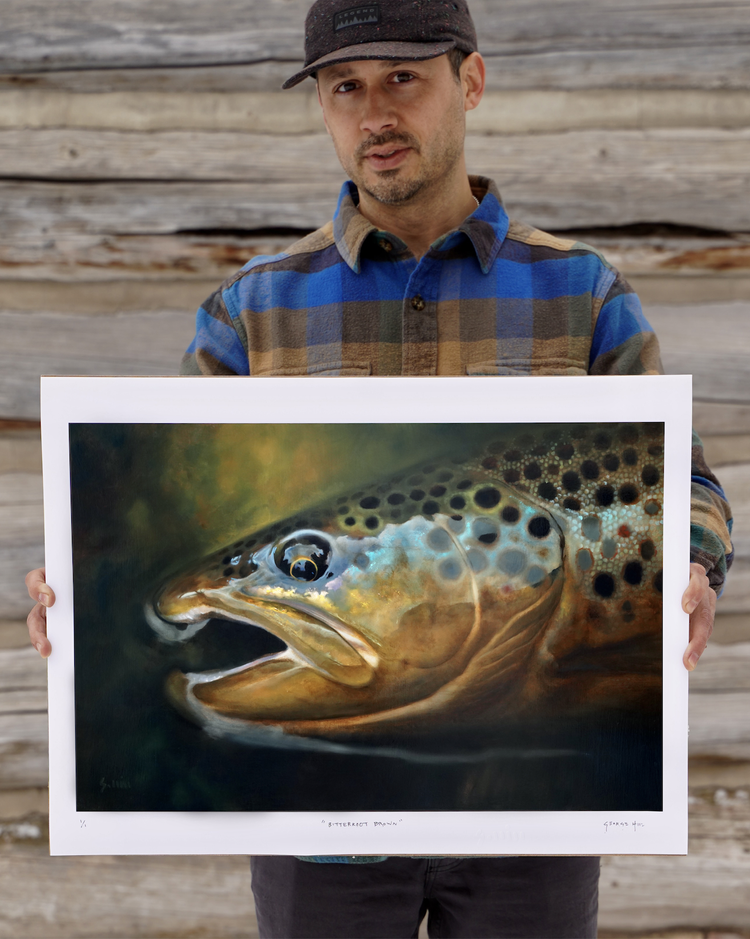 George Hill Releases New Brown Trout Print