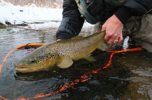 Micro-Managing: How to Fish a Winter Midge Hatch