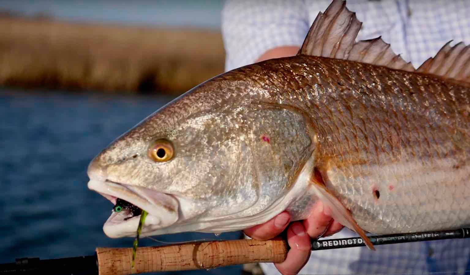 FLY FISHING For BIG Brown Trout in TINY Water 