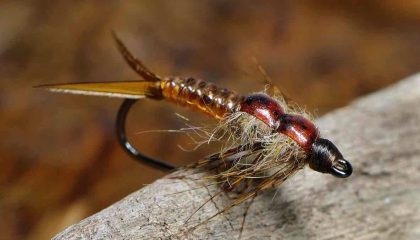 Stone Cold: How to Fish Winter's Big-Bug Hatch