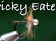 Tying Tuesday: Picky Eater