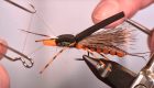 Double-Wing Skwala: Fly Tying Tutorial