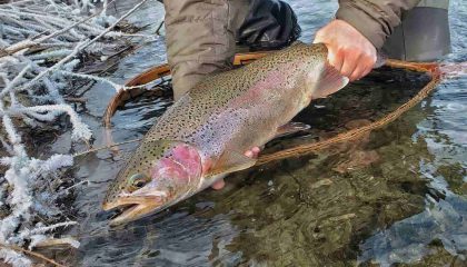 The Best Techniques for Early Season Trout