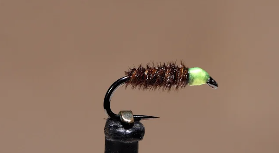 Tying Tuesday: Cased Caddis Larva | MidCurrent