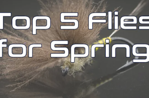 Tying Tuesday: Top Spring Flies
