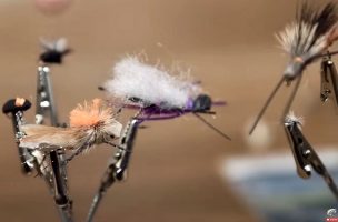 Dry Fly Fishing: What You Need To Know