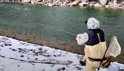 Catch More Trout During This Epic Hatch