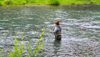 Basically Everything You Need to Know About Fly Rods